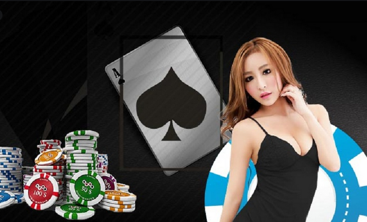Online Casino Gambling: From Novice to Pro